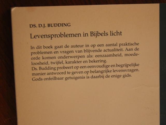 Budding, Ds. D.J. - Levensproblemen in Bijbels licht