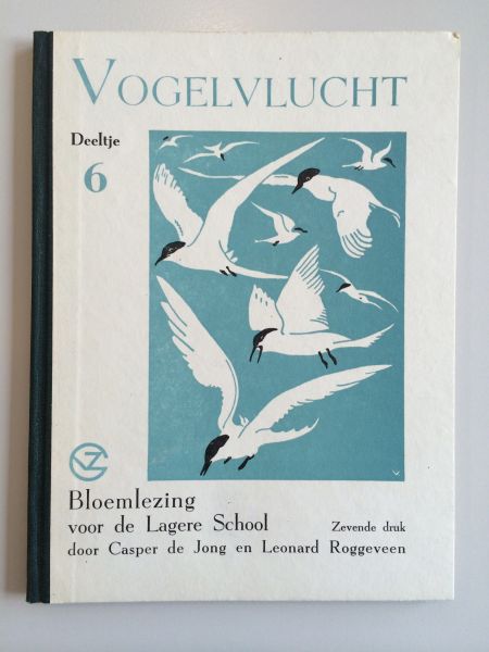 Jong, Casper de en Roggeveen, Leonard - Vogelvlucht