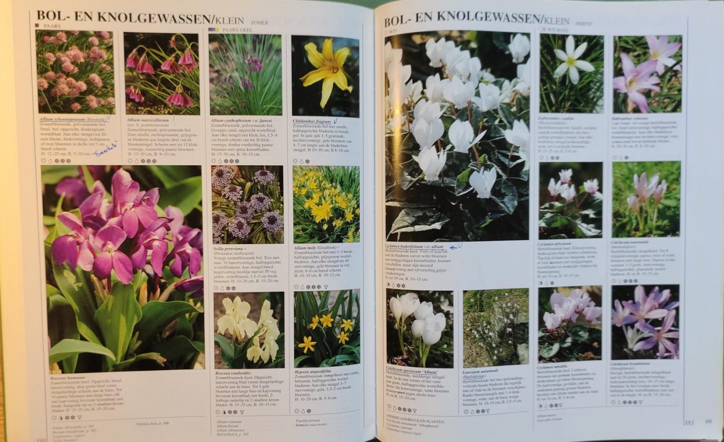 Brickell, Christopher - Atrium tuinplantenencyclopedie / druk 8