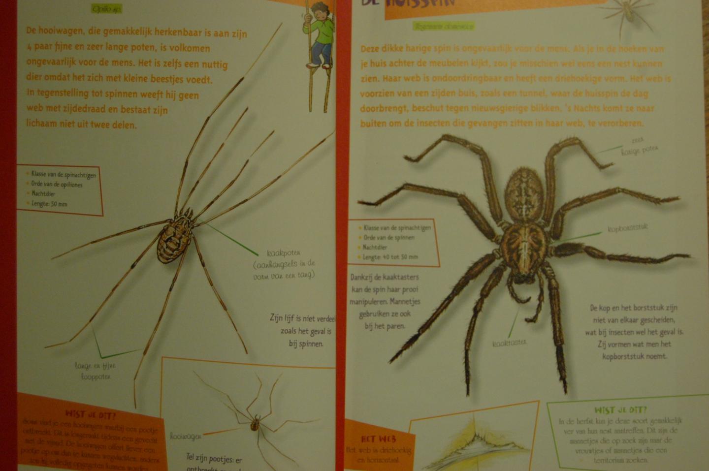 Brin, Antoine & Lionel Valladares - Insectengids voor kids. Welk beestje zit er in mijn insectenkijker?
