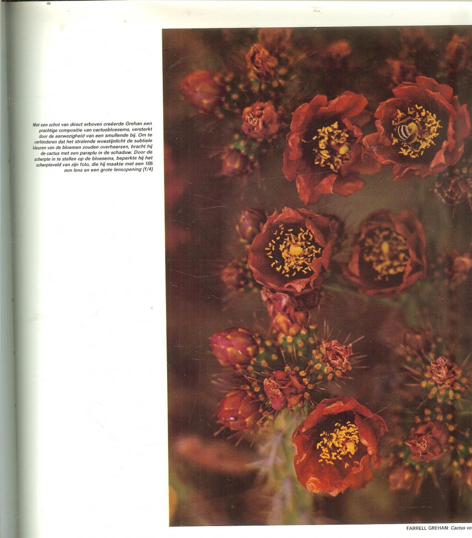 Redactie van Time-Life Books Nederlandse vertaling  Harry Kuiper - De Kleur uit de Serie life Fotografie