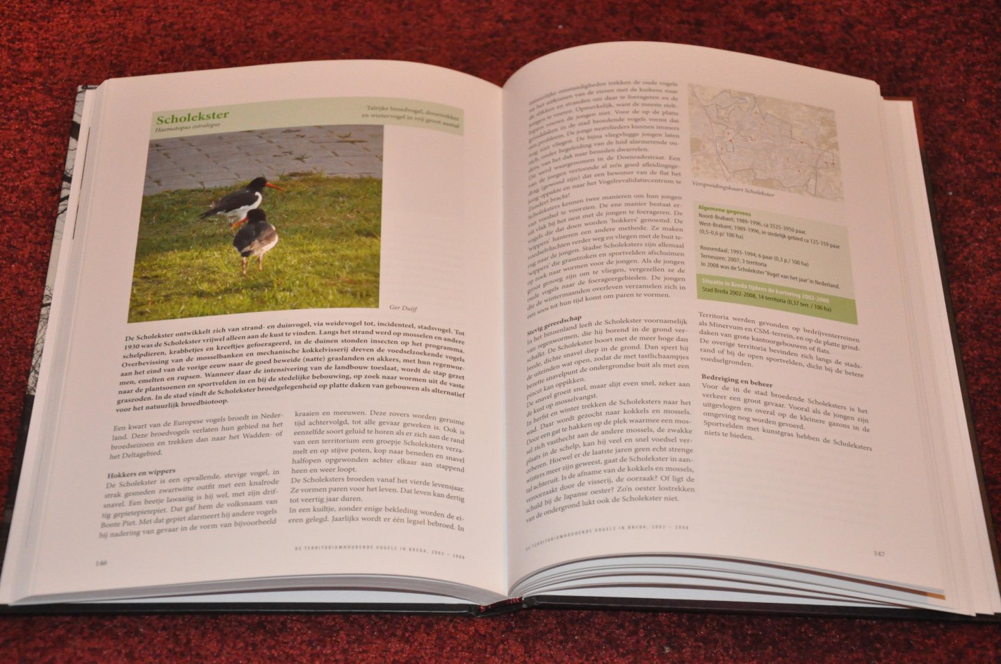 Iersel van, Piet / e.a. - Vogels houden van Breda. Vogels in de bebouwde kom van Breda, geïnventariseerd door de West Brabantse Vogelwerkgroep 2002 - 2008