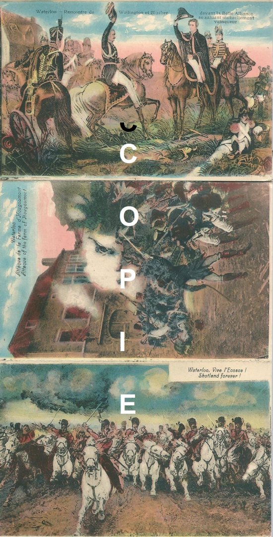 Anoniem - Souvenir de Waterloo : tableaux : 10 cartes-vues choisies à déplier : couleurs
