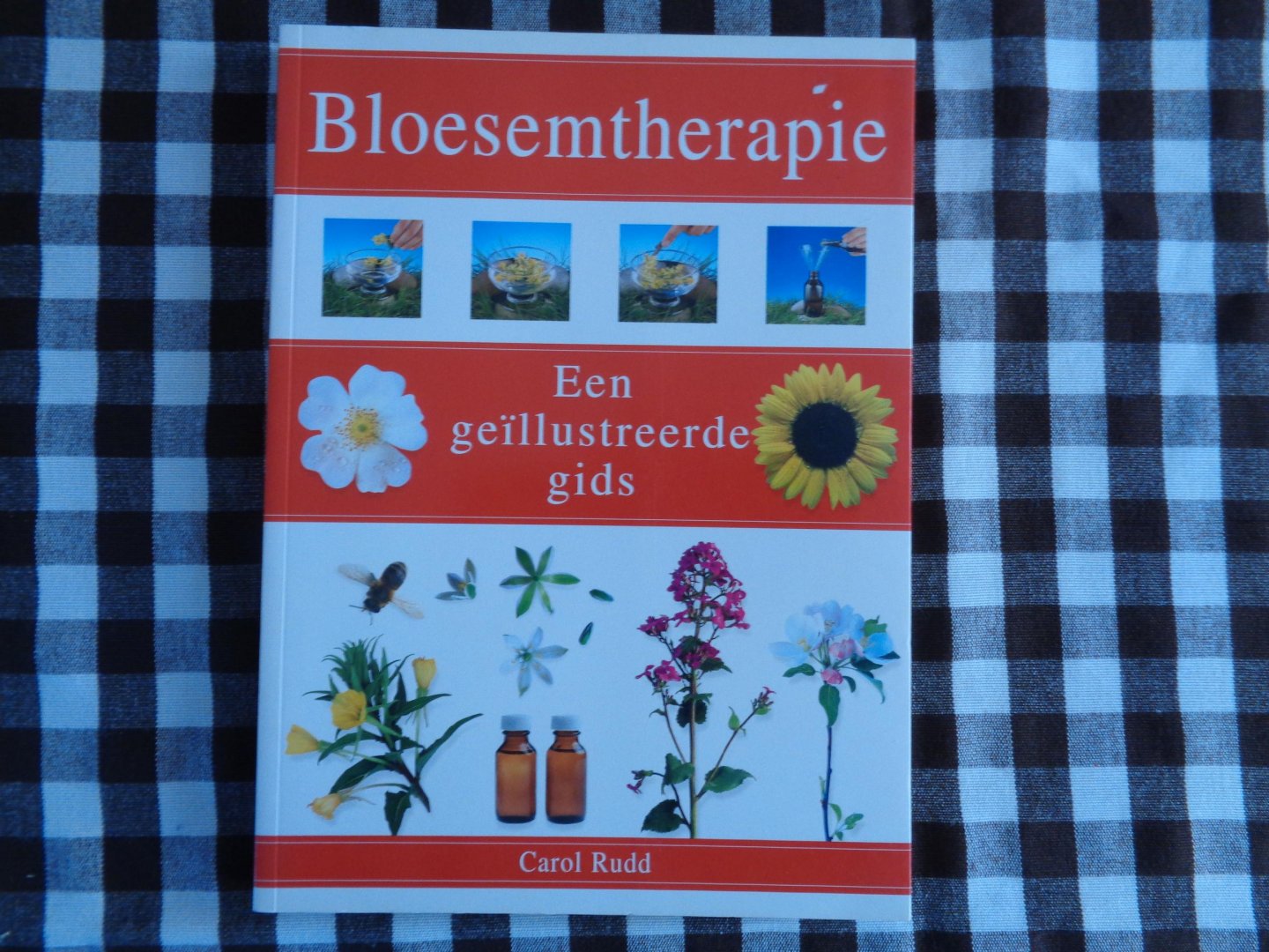 Carol Rudd, Titia van Schaik, Eveline Deul - Bloesemtherapie  een geillustreede gids