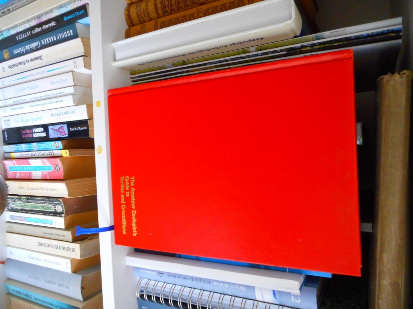 ZAPPALORTI, ROBERT T. - THE AMATEUR ZOOLOGIST'S GUIDE TO TURTLES AND CROCODILIANS