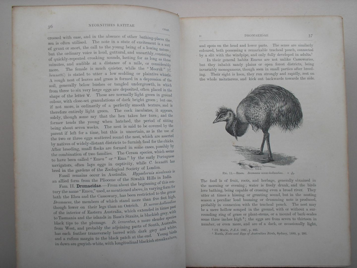 A.H. Evans - Birds, volume IX uit de serie The Cambridge Natural History,
