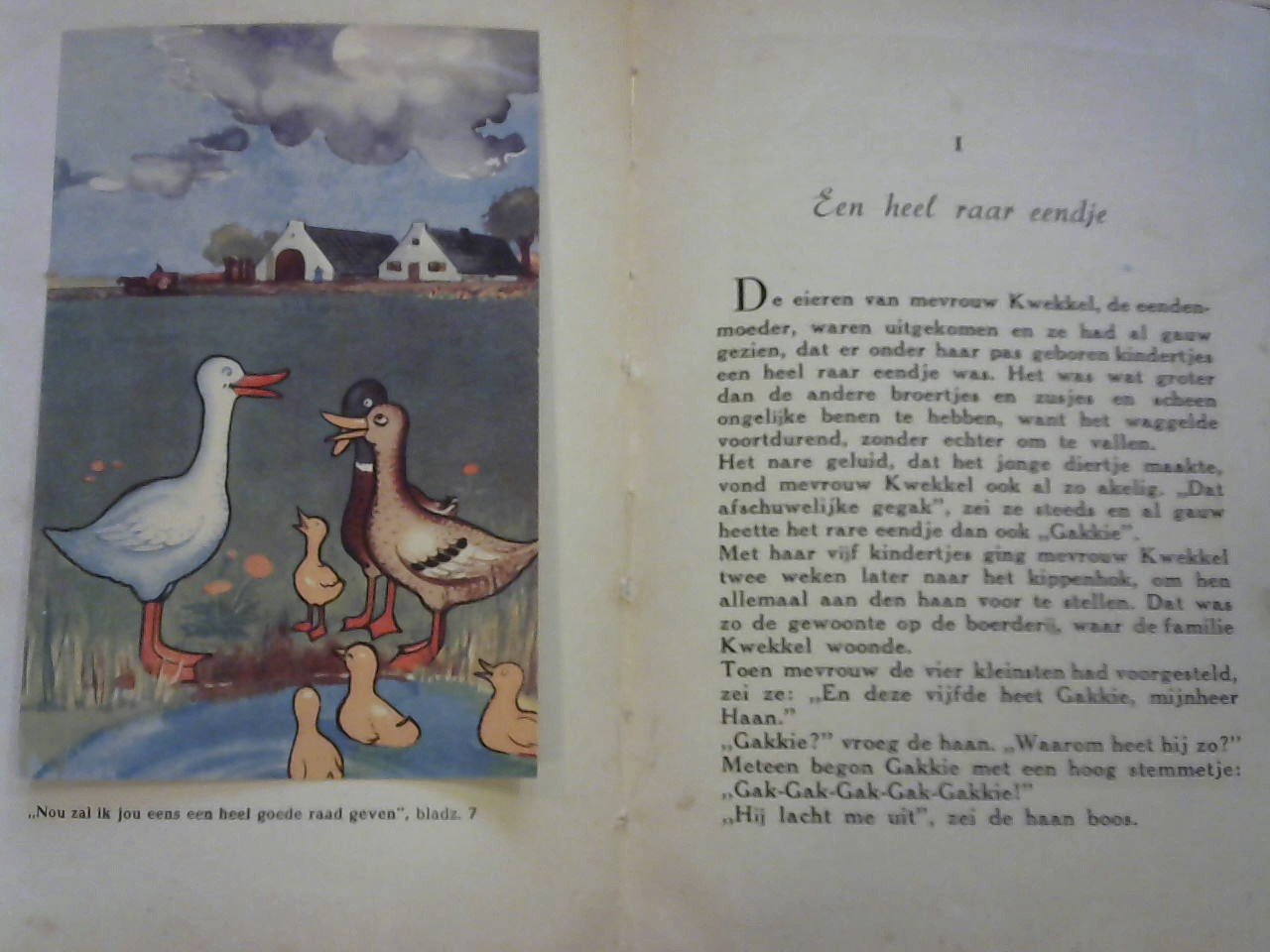 Overmeer J.M. - Gakkie. Het goocheme gansje