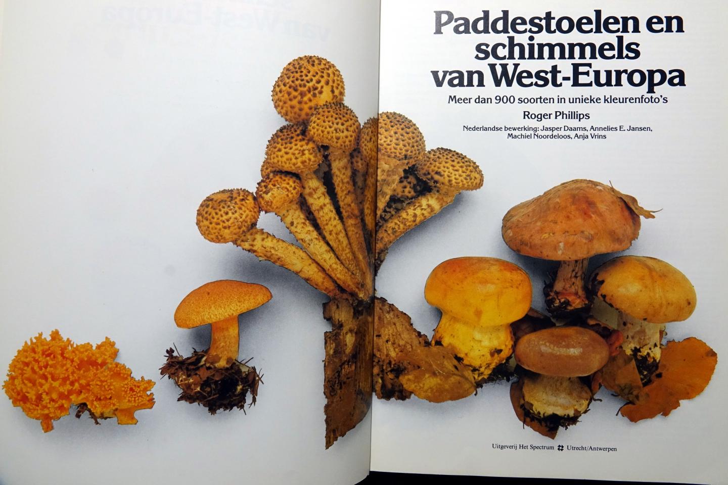 Phillips, Roger - Paddestoelen en schimmels van West-Europa / druk 1 (paddenstoelen)