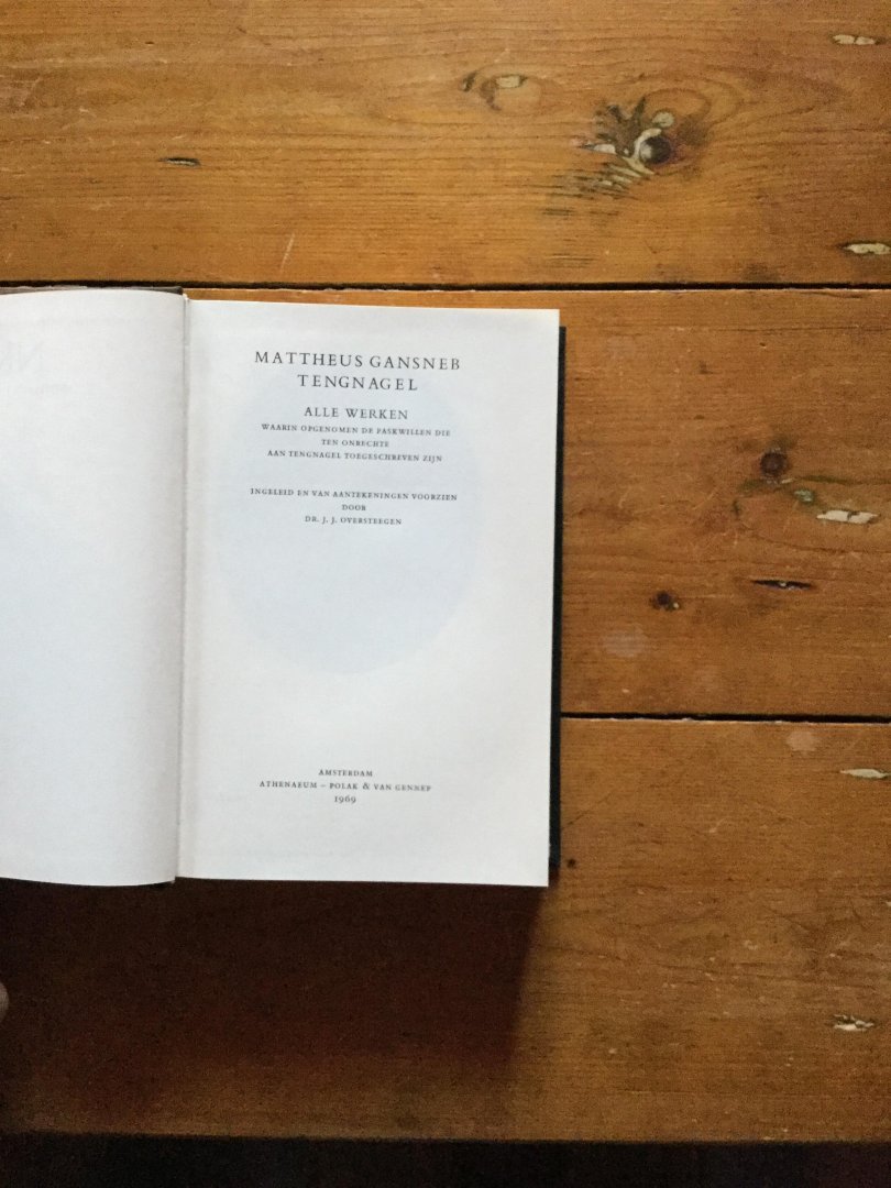 Mattheus Gansneb Tengnagel - Alle werken
