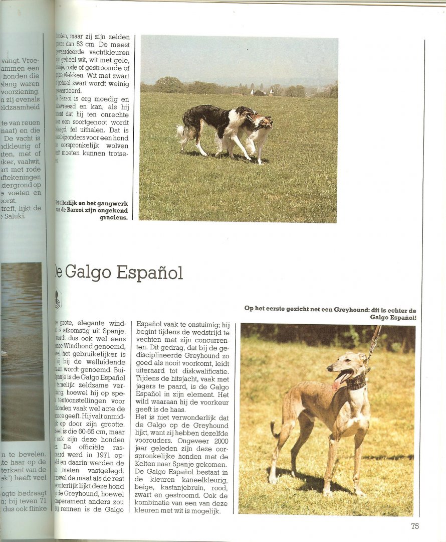 Bielfeld, Horst  ..  Vertaling: Stephe Bruin  Omslagontwerp: Dick de Heus - Handboek honden rassen- gedrag - verzorging