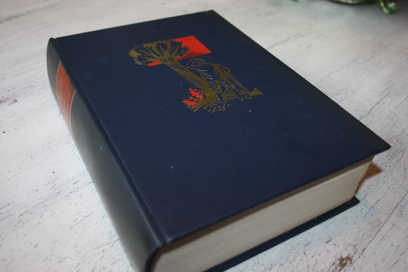 Allen, Hervey - ANTHONY ADVERSE deel 3 DE EENZAME TWEELINGBROEDER