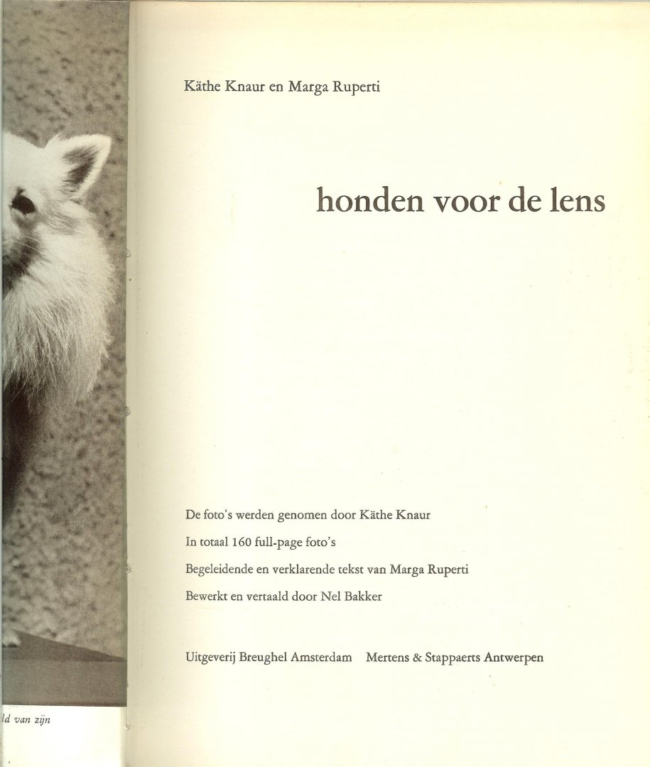 Knaur Käthe en Marga Ruperti bewerkt en vertaald door Nel Bakker - Honden voor de lens .. De foto's werden genomen door Käthe Knaur in totaal 160 full- page foto's en begeleidende en verklarende tekst van Marga Ruperti van van een dalmtische hond tot Ierse setter ..schapen hond en nog veel meer