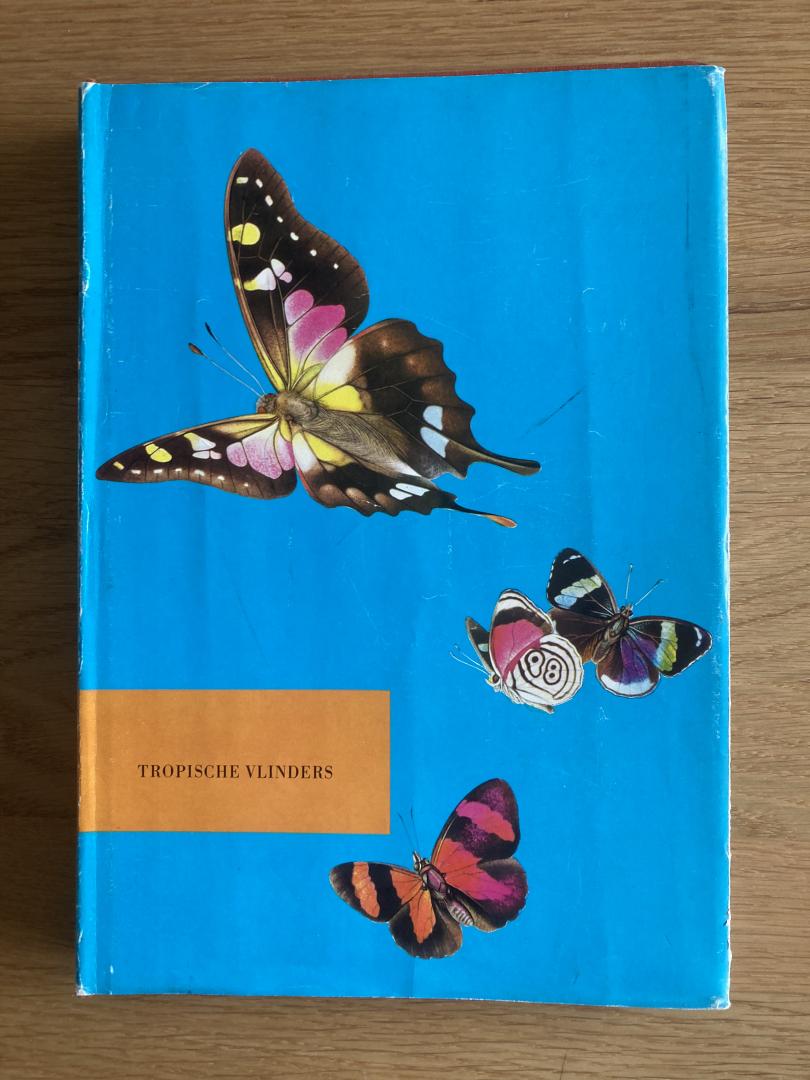 Handschin, Eduard - De wonderwereld der tropische vlinders  - aquarellen van Walter Linsenmaier