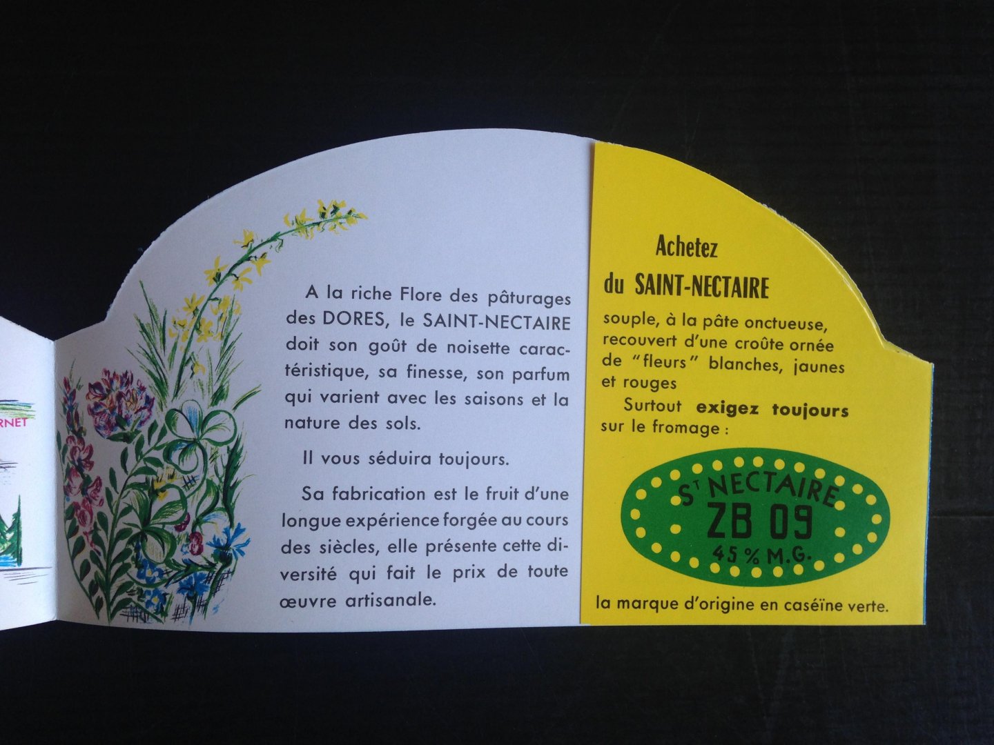 Folder - Franse kaas Saint-Nectaire