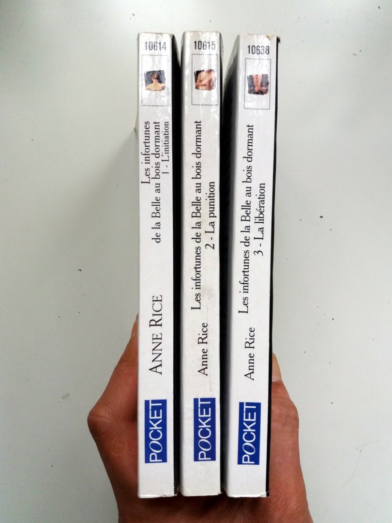 Rice, Anne - Les infortunes de la Belle au bois dormant (Tomes I, II, III) - (Tome I: L'initiation - Tome II: La punition - Tome III: La libération) (FRANSTALIG)