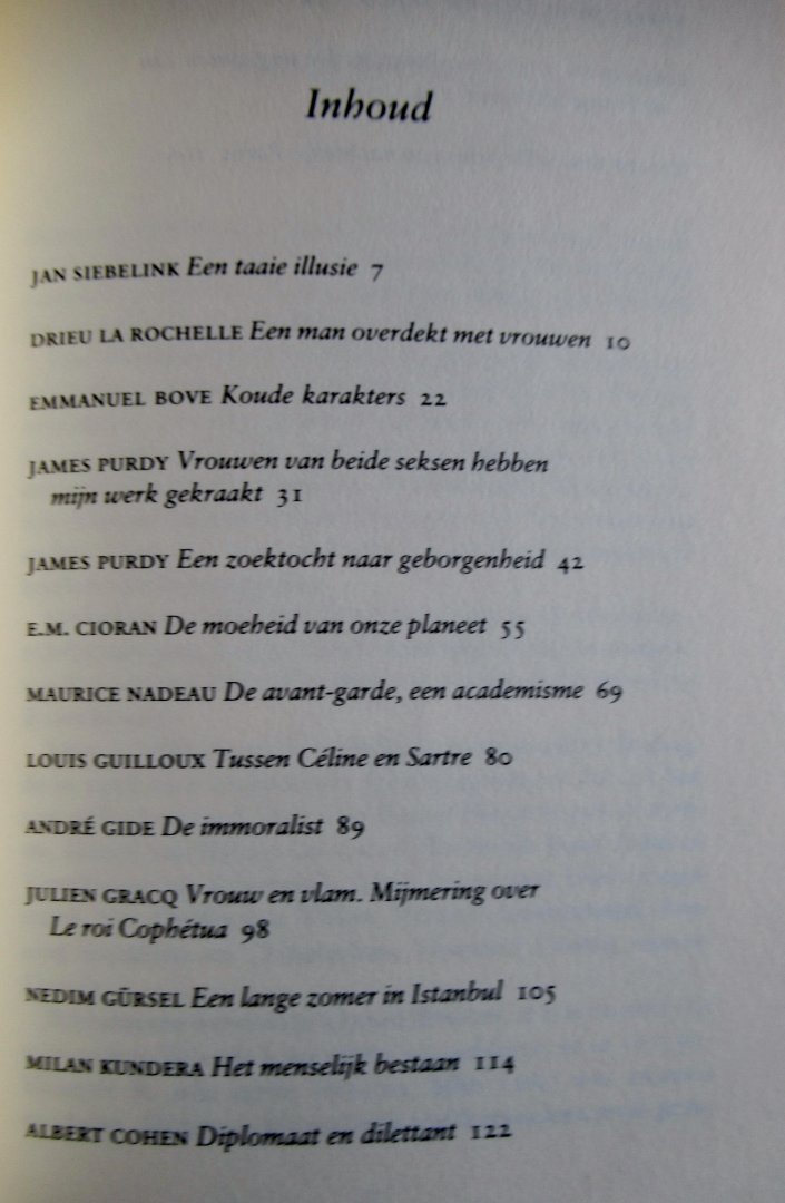 Siebelink, Jan - De prins van nachteijk Parijs