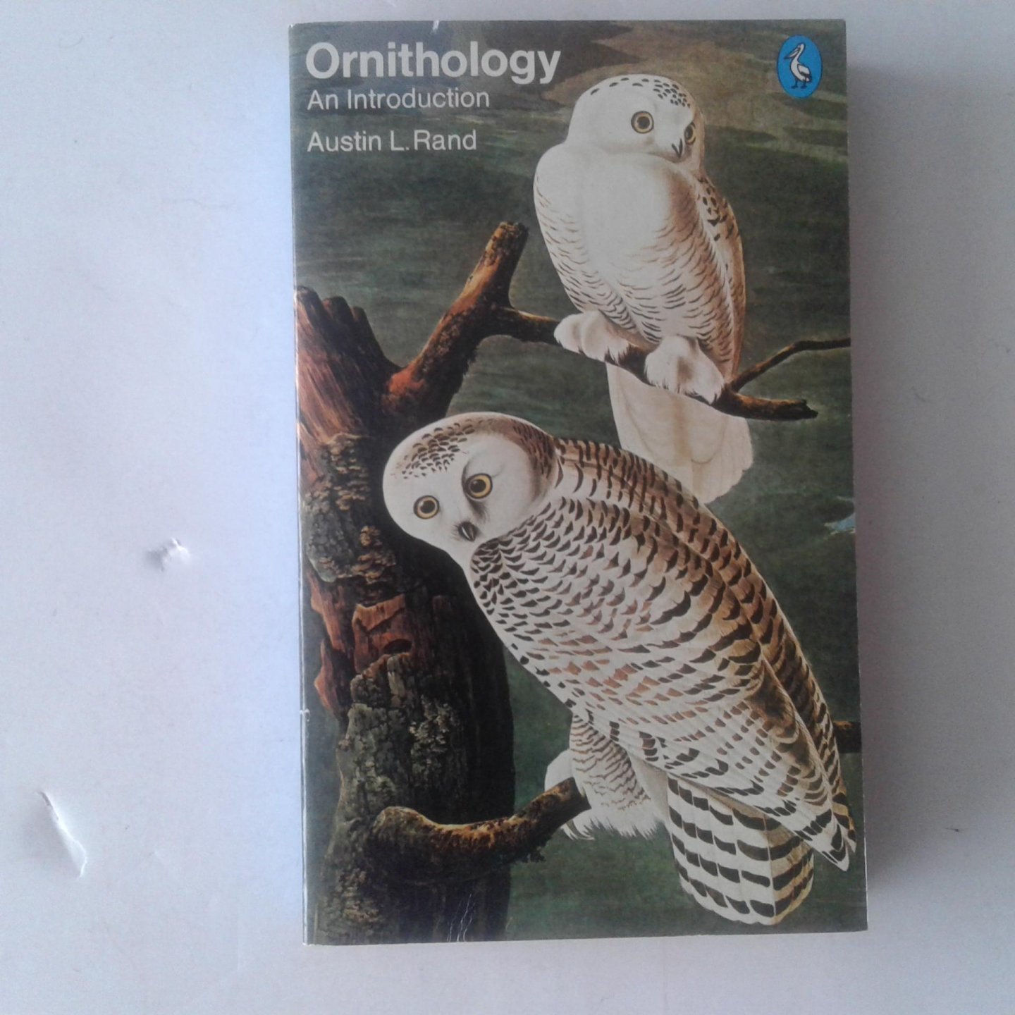 Rand, Austin L. - Ornithology ; An Introduction