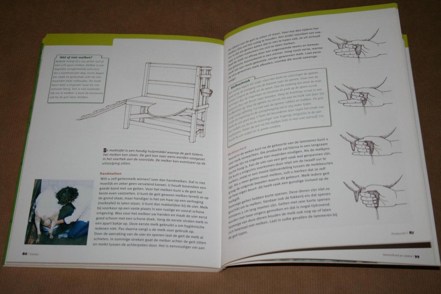 Hans L. Schippers - Geiten ---    Oorsprong en historie - Gedrag - Voortplanting - Huisvesting en verzorging - Geitenmelk - Gezondheid