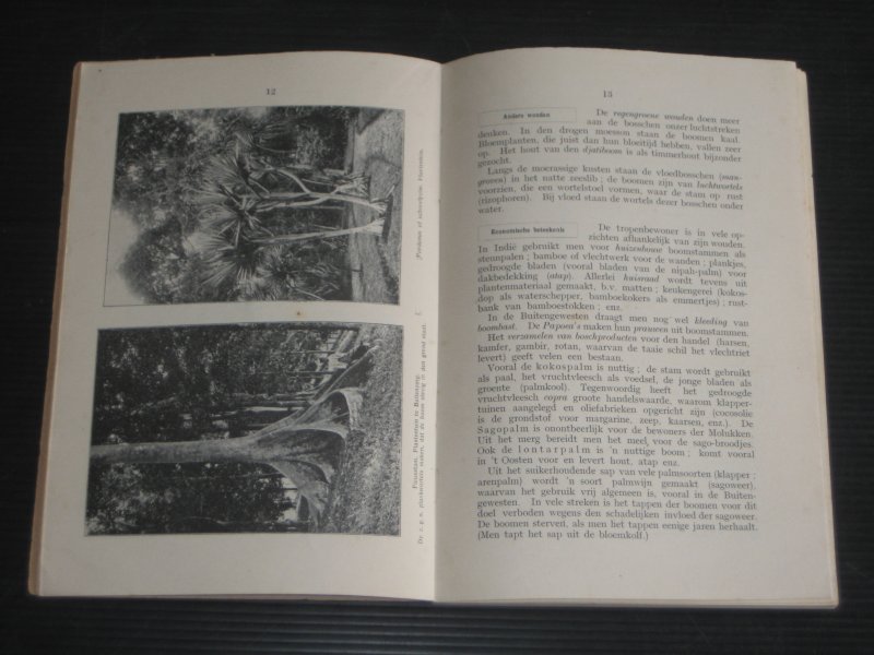 Mensch, C. - Geografie van Oost-en West Indie