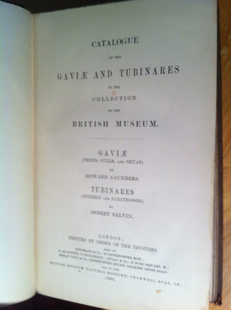 Saunders, Howard & Osbert Salvin - Catalogue of Birds in the British Museum, Vol XXV, Gaviae and Tubinares