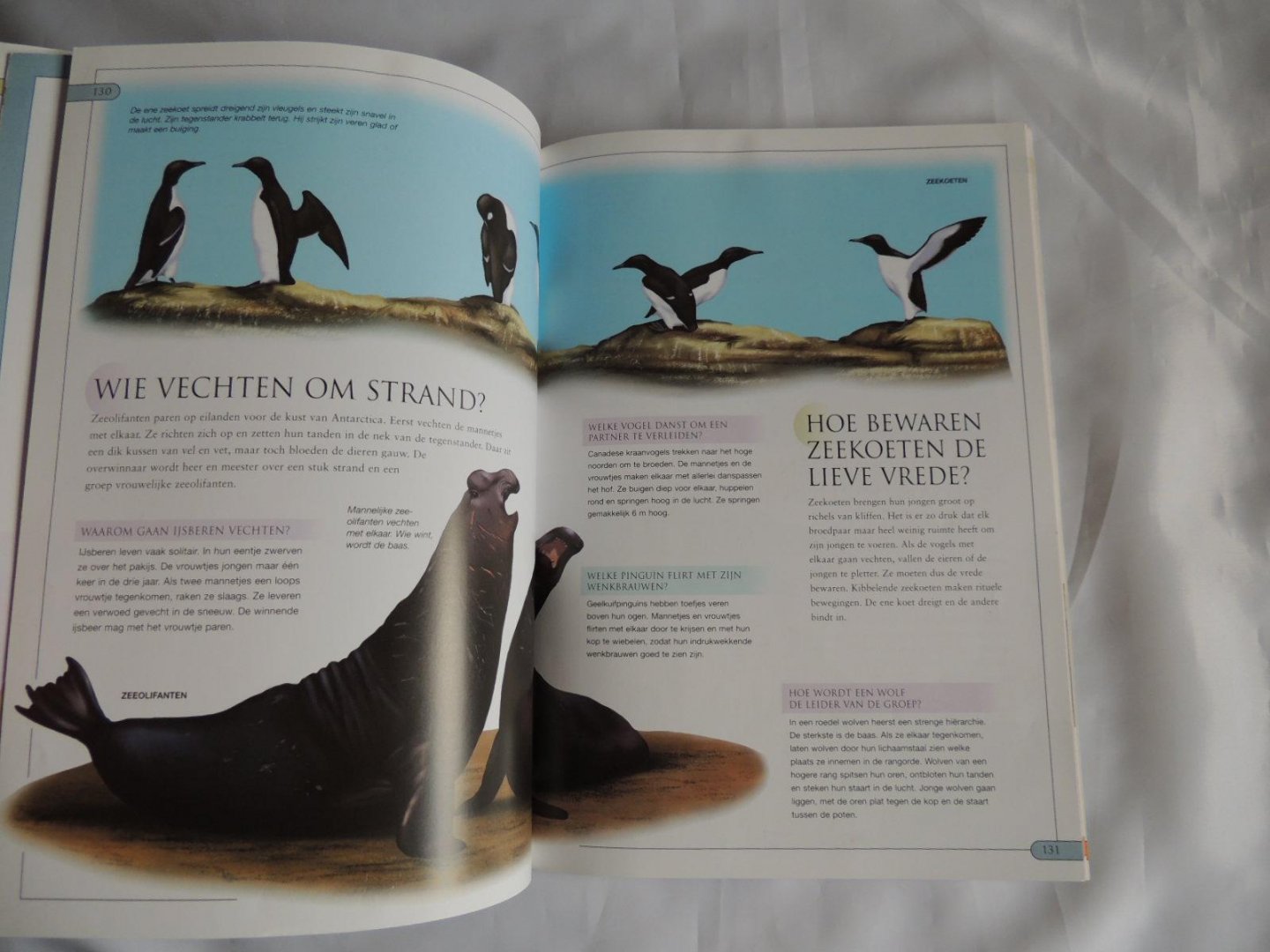 John Farndon; David Ashby - Dieren vragen & en antwoorden