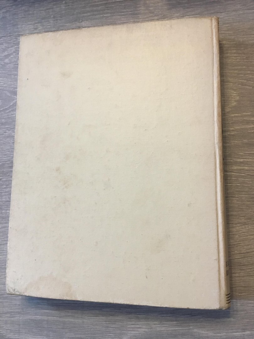 Robinson Crusoe - Het leven en de lotgevallen van Robinson Cusoë