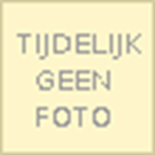 Diana Hardy Wilson & Martha Cazemier & Elke Meiborg - Kalligrafie technieken