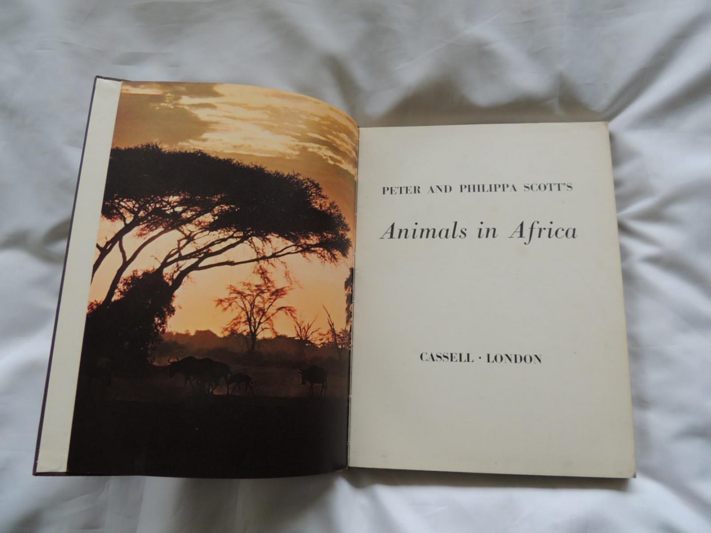 Peter Scott; Philippa Scott - Animals in africa, by peter and philippa scott. afrika