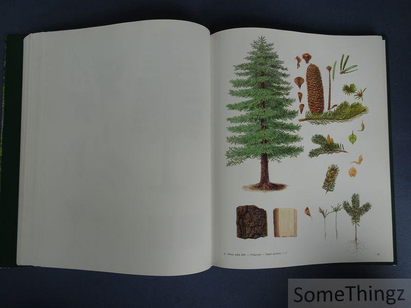Philippe Blerot et Jean-Pierre Lambot (coord. générale.) - Le grand livre de la forêt wallonne.