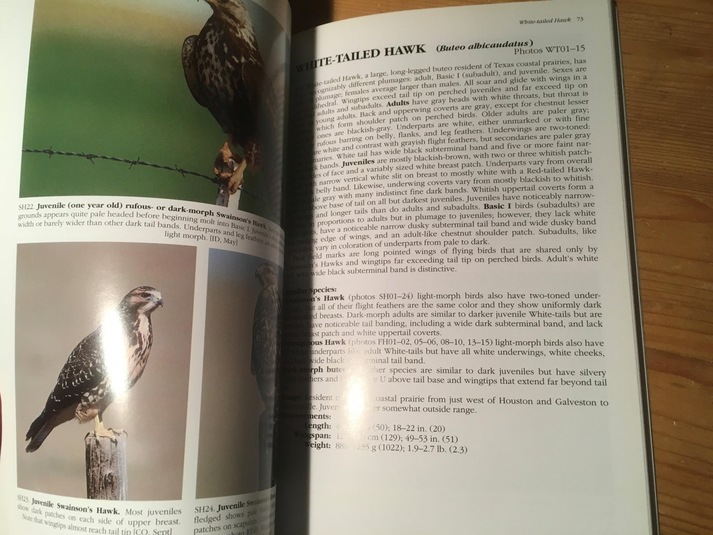 Wheeler, BK & WS Clark - A Photographic Guide to North America Raptors