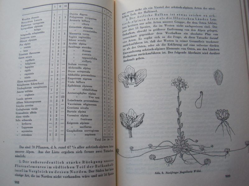 Rikli, Prof. Dr. M. - Das Pflanzenkleid der Mittelmeerländer deel 1, 2 en 3