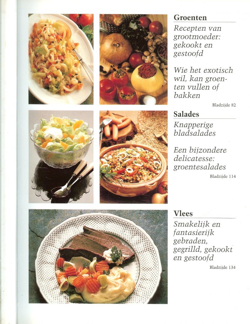 TEXTCASE - DE KOOK encyclopedie * vooraf * aardappelen * pasta * groenten * salades * vlees * vis  * wild * gevogelte * soepen en eenpansgerechten