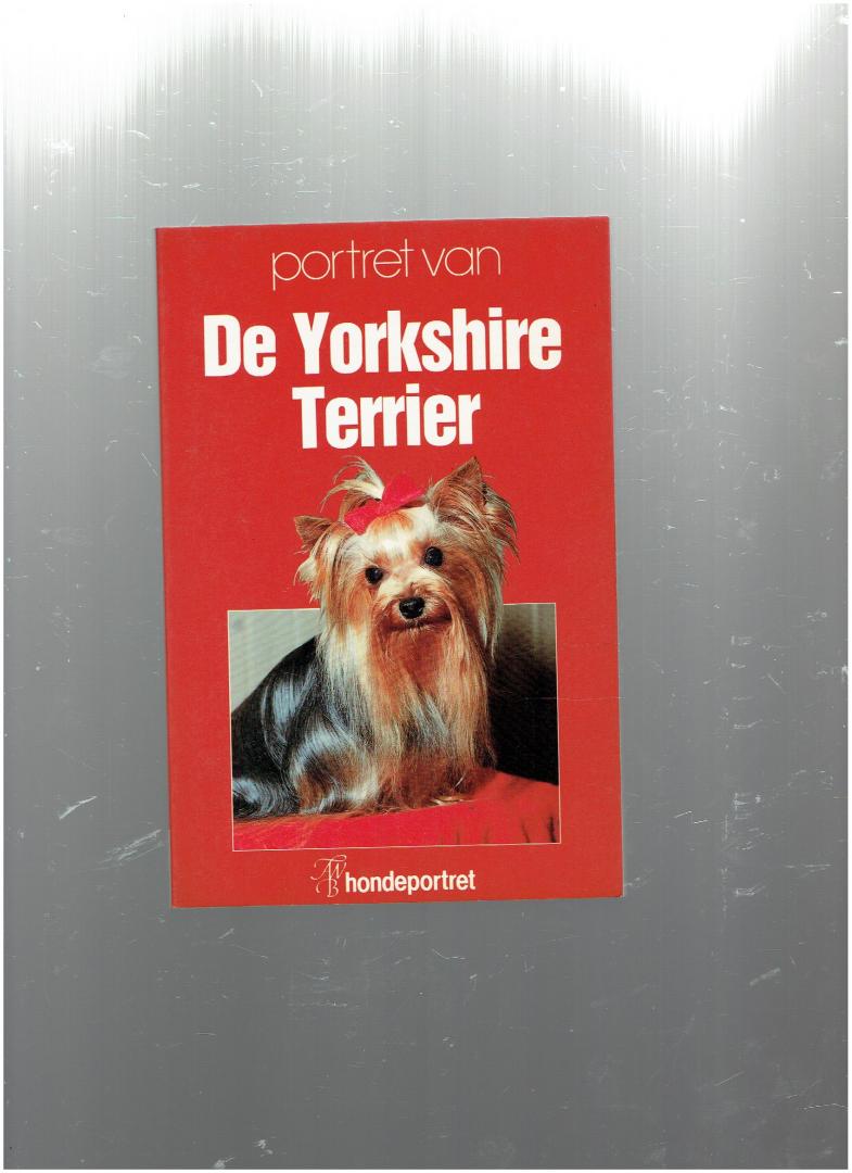 - - portret van de yorkshire terrier ( hondeportret )