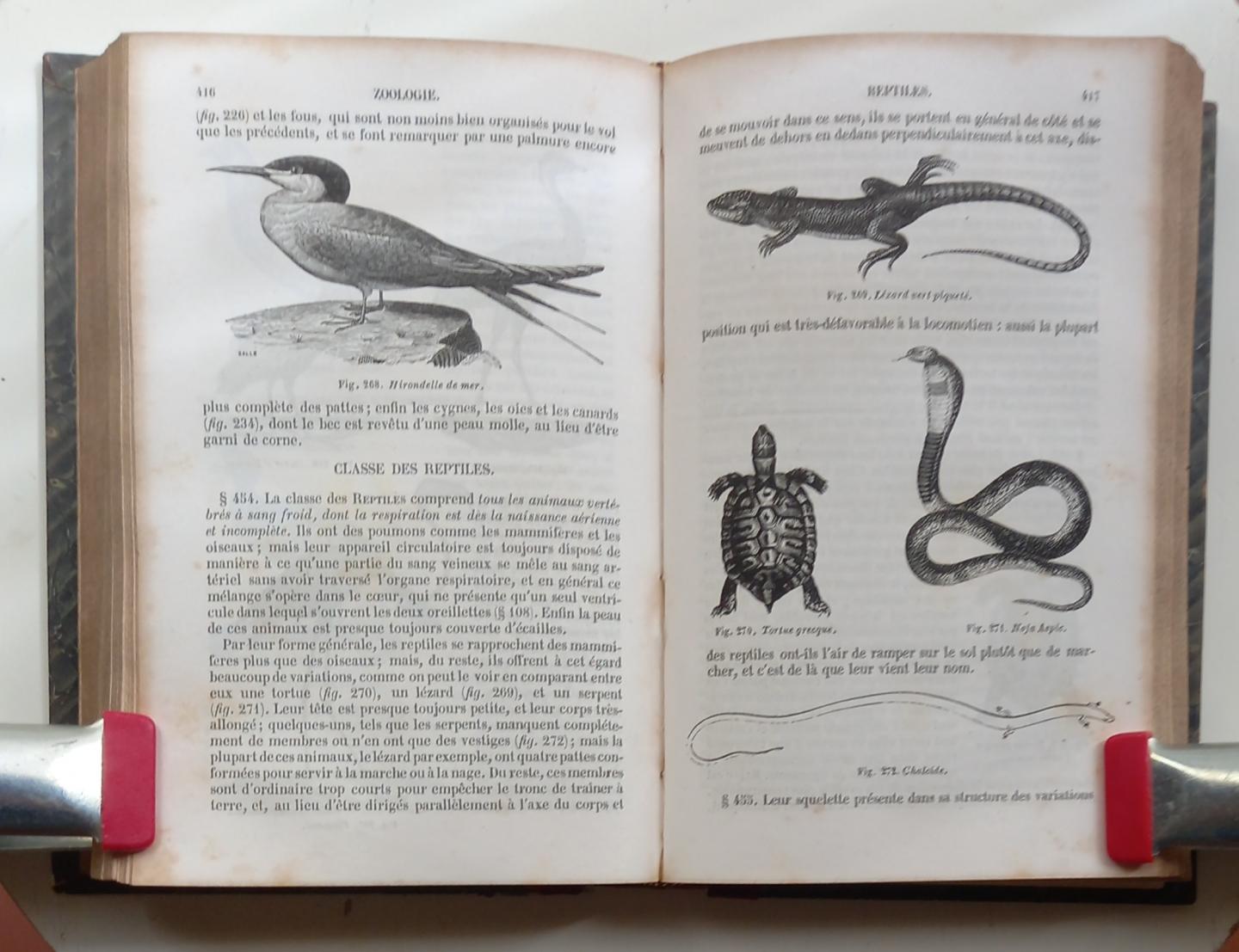 Edwards, Mm. Milne - Zoologie (Cours élémentaire d'histoire naturelle)