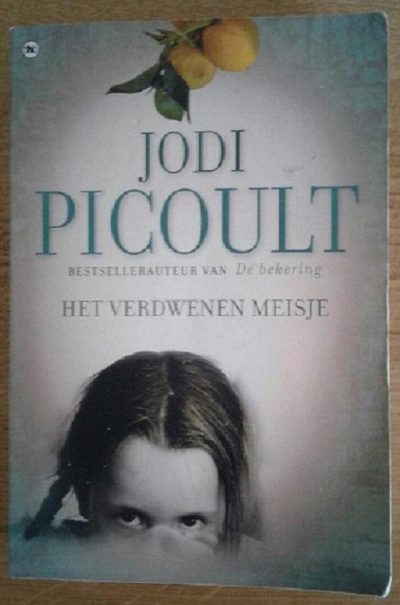 Picoult, Jodi - Het verdwenen meisje