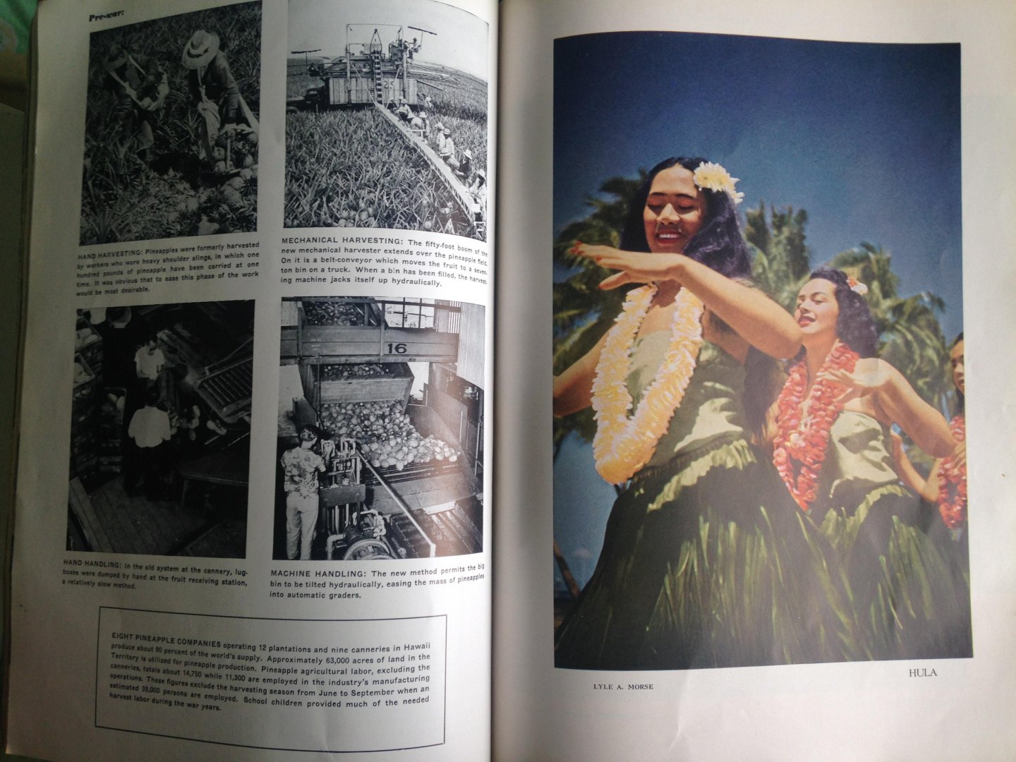  - Paradise of the Pacific, Hawaii’s monthly magazine since 1888, Christmas issue