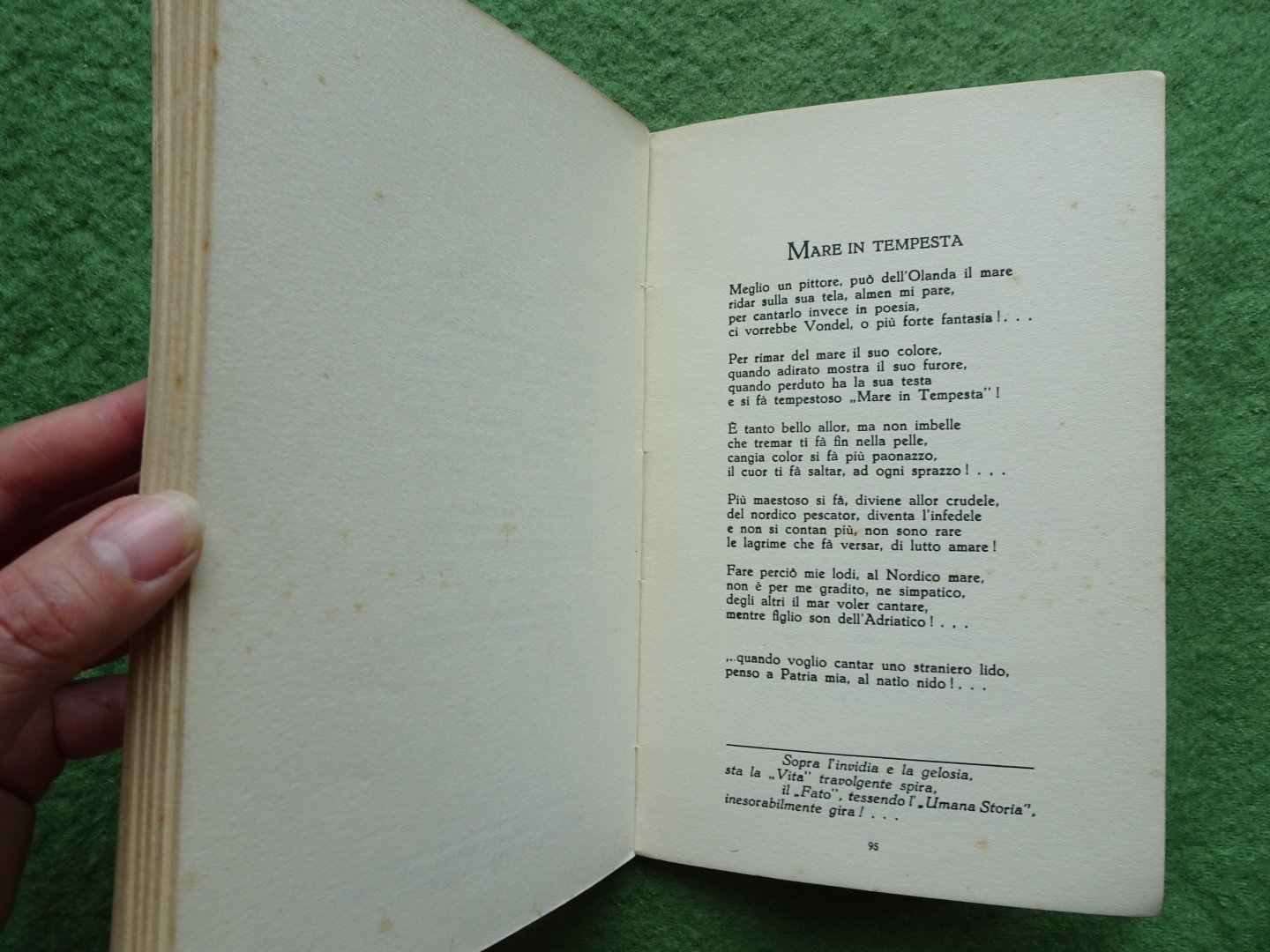 Troiani, Gino - OLANDA