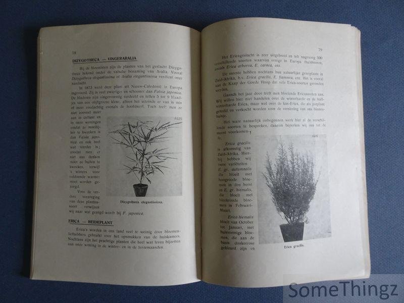 Jennes, J. - Planten in onze woning.
