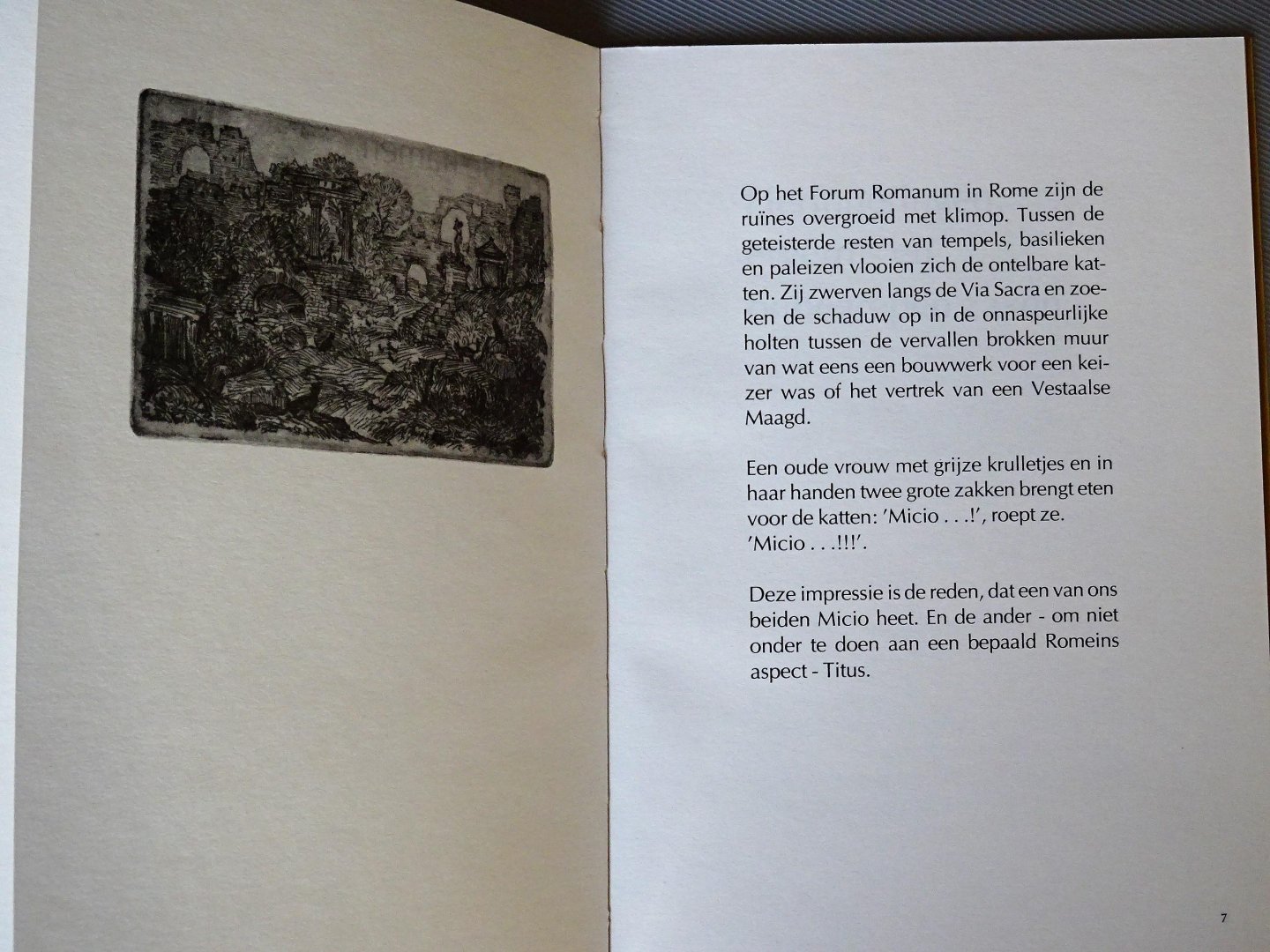 Spronk, Ank - Kattigheden van Micio en Titus