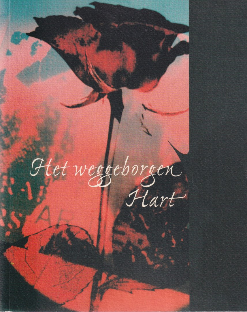  - Het weggeborgen hart
