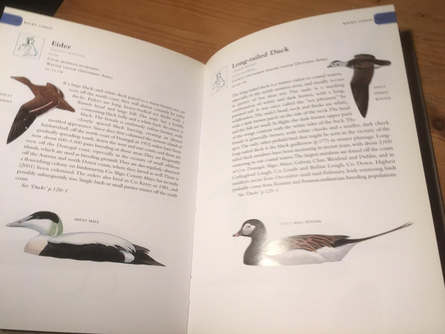 Cabot, David - Irish Birds (met een Where to Watch)