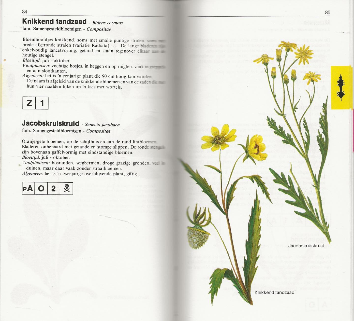 Husstege, Geert .. Met veel kleurrijke Illustraties - Onze flora praktische gids .. Met meer dan 200 wilde planten.