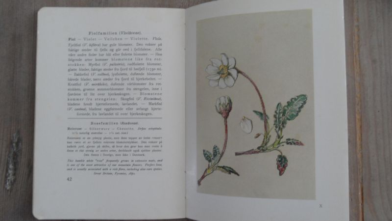 Christophersen, Erling - Blomster fra Fjord og Fjell - illustrert av Maria Vigeland