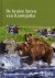 Viering, Kerstin / Knauer, Ronald - De bruine beren van Kamtsjatka