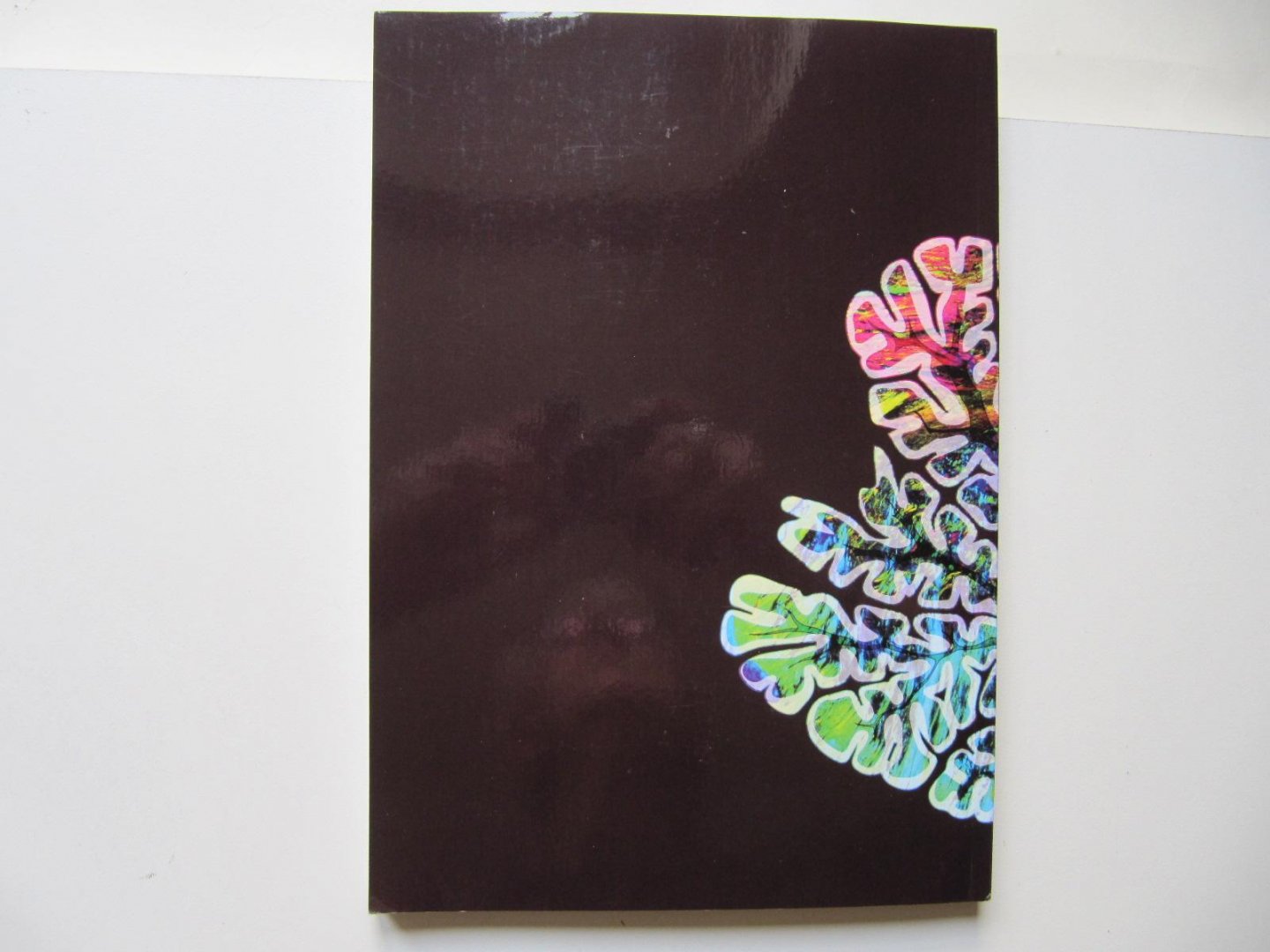 K.M. van Baarsen - The anatomical substrate of cerebellar mutism - Back to basics