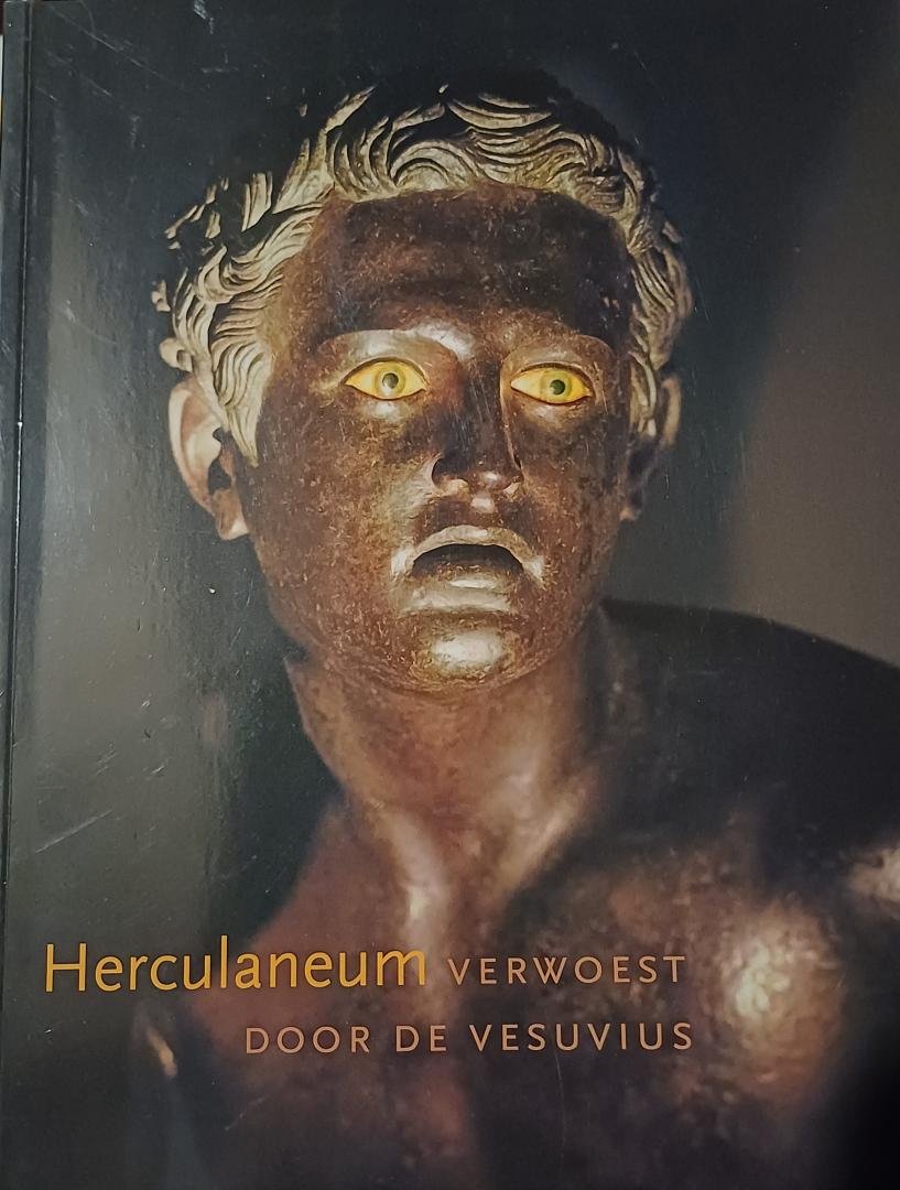 Mols, Stephan T.A.M. e.a. - Herculaneum. Verwoest door de Vesuvius.