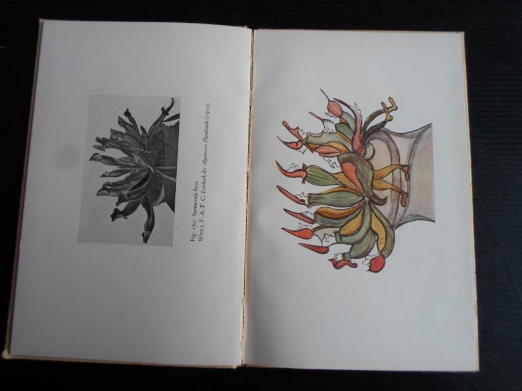 Löhuis, Marie P. Voorwoord - Metamorphosen, Nagelaten tekeningen van Dr.Marianne van Herwerden