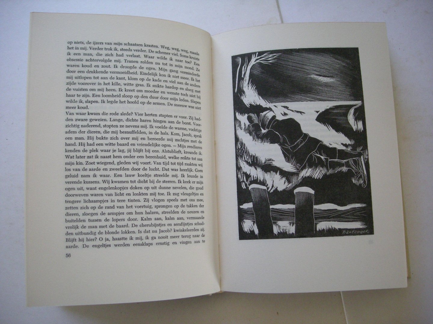 Dessel Poot, Marie van / Bantzinger, illustr. - Het eiland in de verte