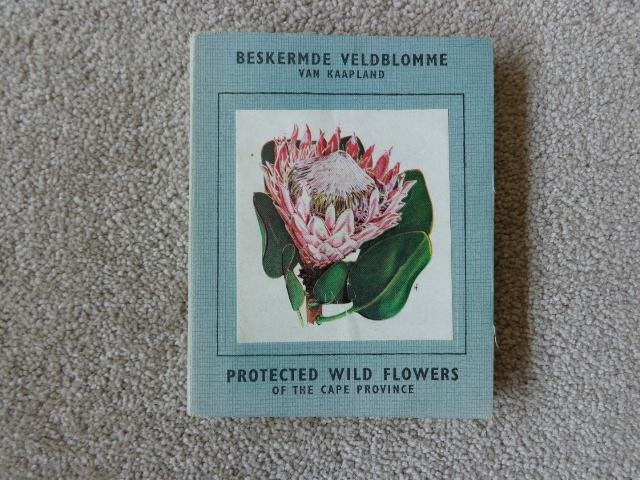  - Protected Wild Flowers of the Cape Province / Beskermde Veldblomme van Kaapland