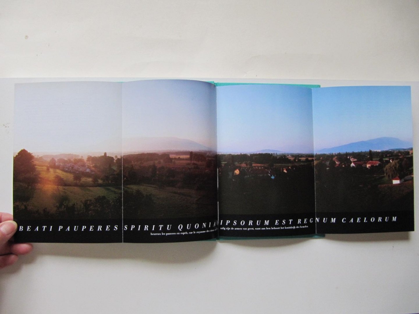 Epiney, M. - La folie = De waanzin / druk 1 (dun klein boekje-groen)